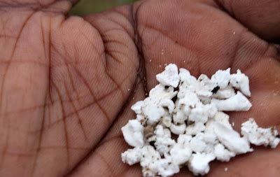 Maná ainda cai do céu na África