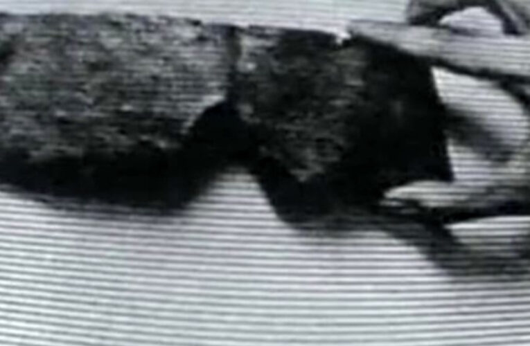 O Misterioso Caso das Máscaras de Chumbo