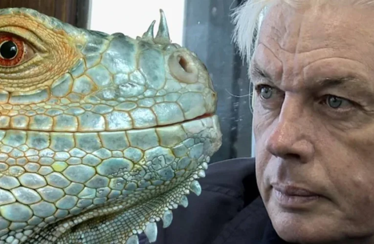 Conheça David Icke e suas teorias da conspiração