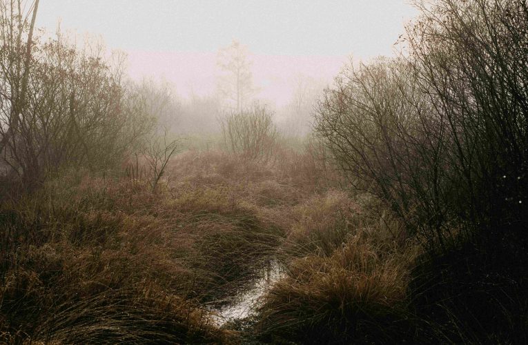O Mistério do Terreno: Aprisionadas em uma Dobra Temporal